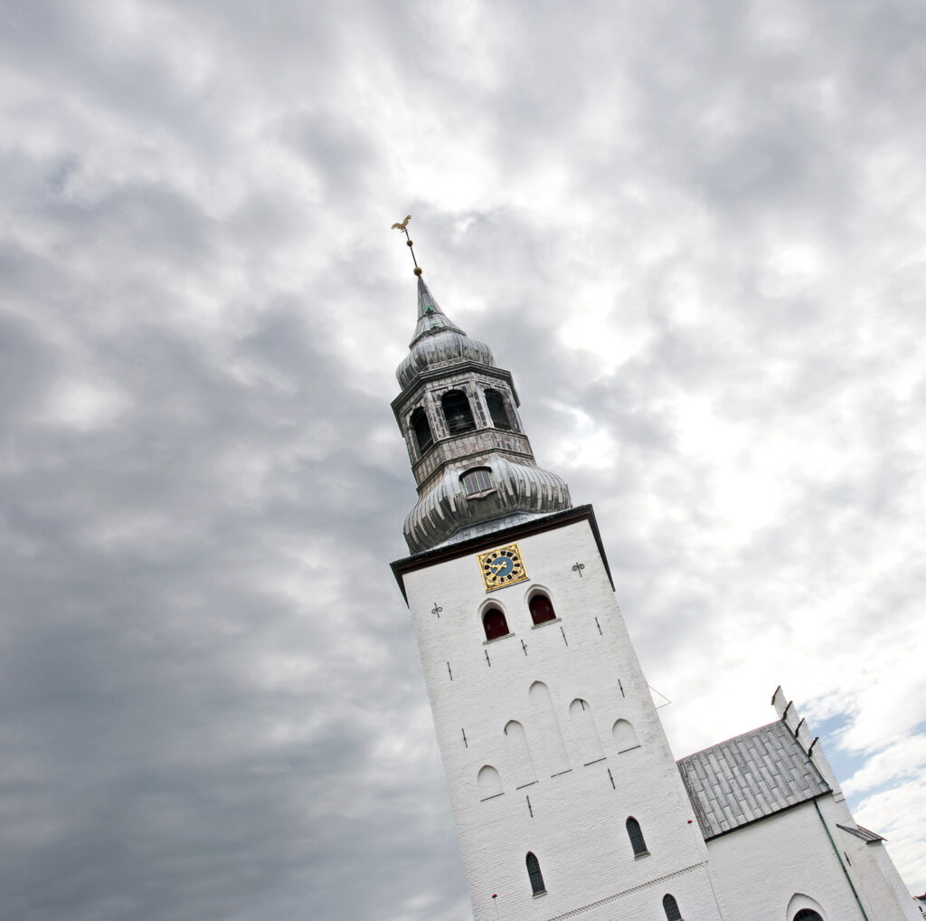 Sint-Botulfuskerk Domkerk van Aalborg